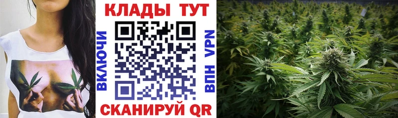 Продажа наркотиков Южноуральск СК  МЕФ  Псилоцибиновые грибы  COCAIN  Конопля 