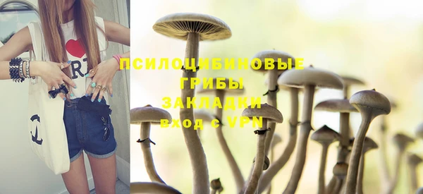 бутират Алексин