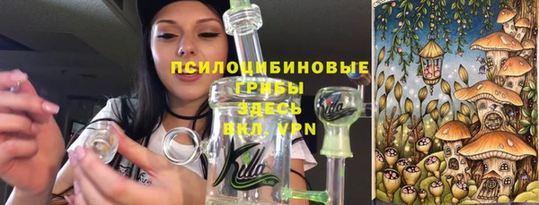 бутират Алексин