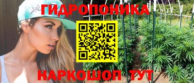 мяу мяу мука Малоярославец