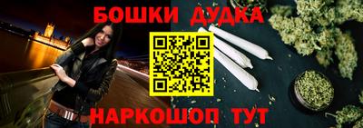 крисы Малгобек