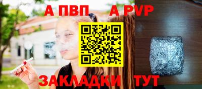 крисы Малгобек