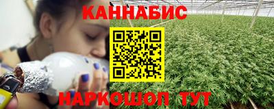 крисы Малгобек