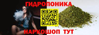 крисы Малгобек